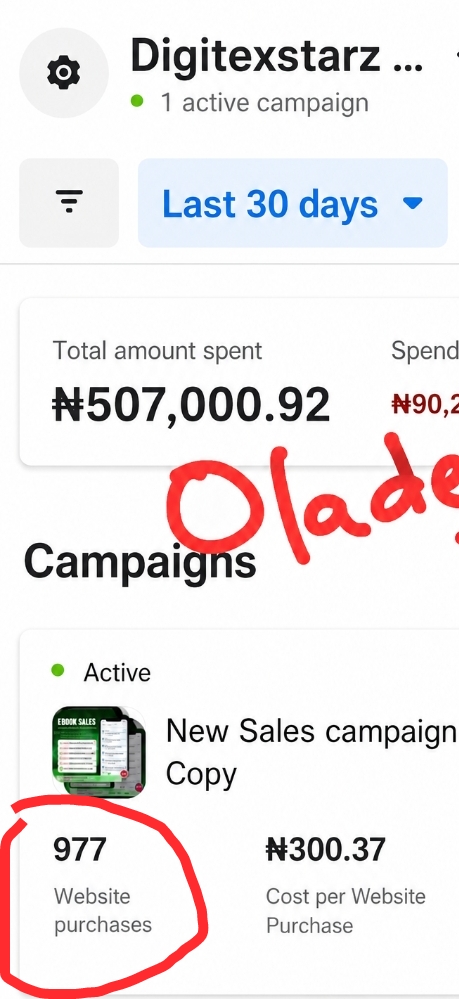 Screenshot showing digital product sales proof 5